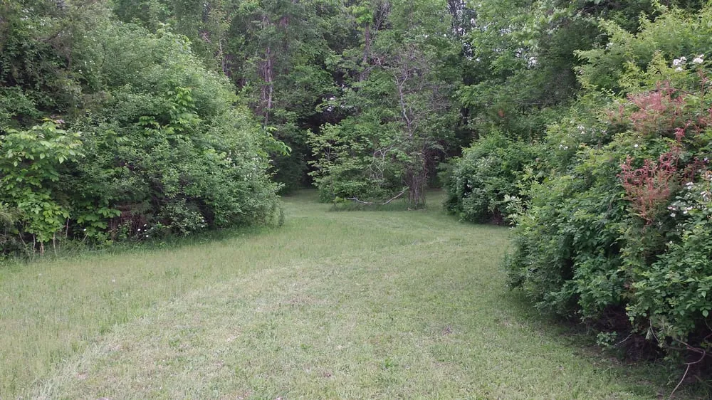 Trusted residential landscaping in Nixa, MO - Davis Mowing