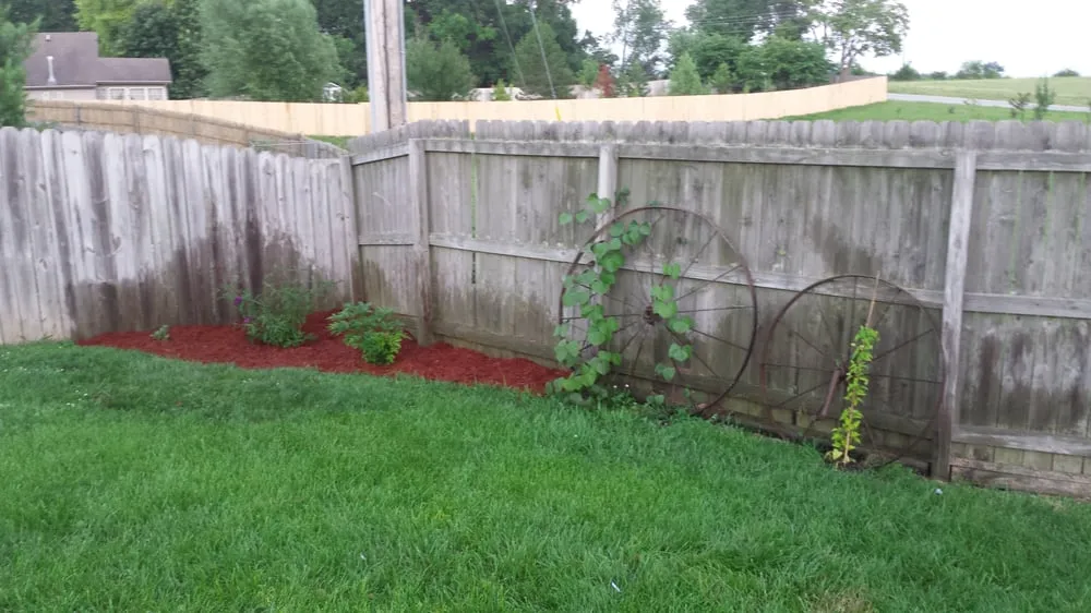 Trusted yard maintenance in Nixa, MO - Davis Mowing