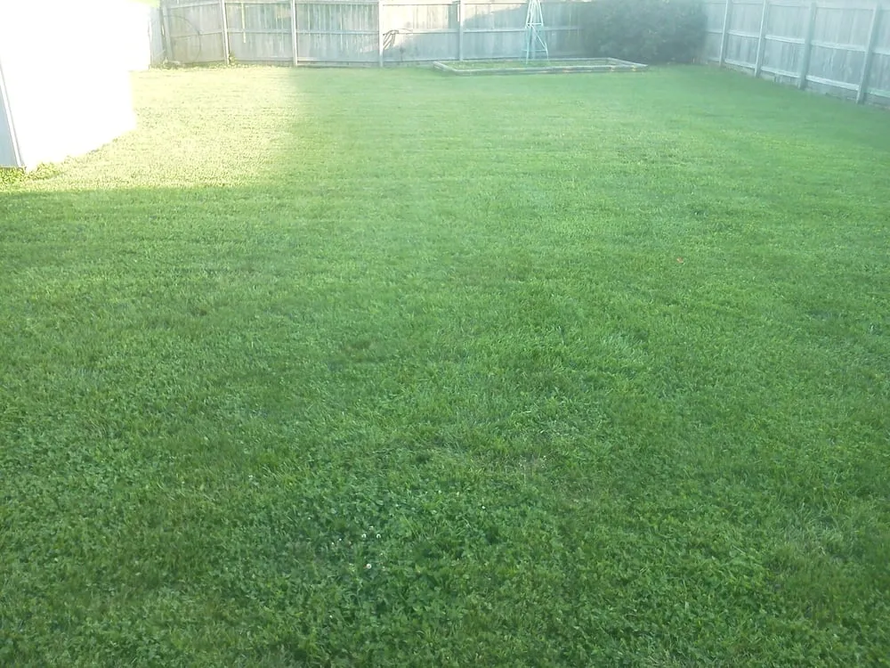 Local landscape design in Nixa, MO by Davis Mowing