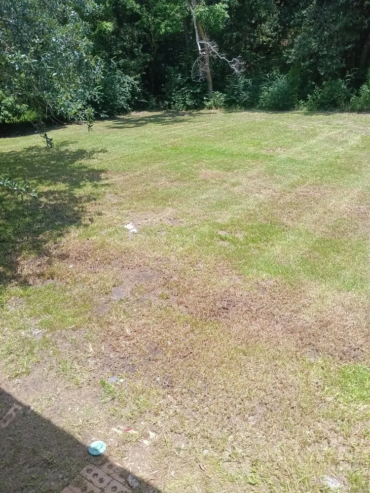 Affordable garden landscaping in Gulfport, MS by Davis Nice & Neat Lawn Service