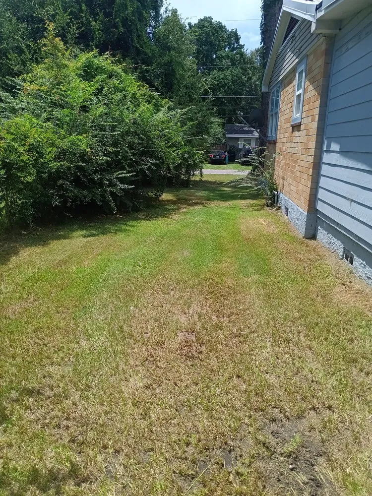 Affordable yard cleanup service for outdoor upgrades across Gulfport, MS - Davis Nice & Neat Lawn Service