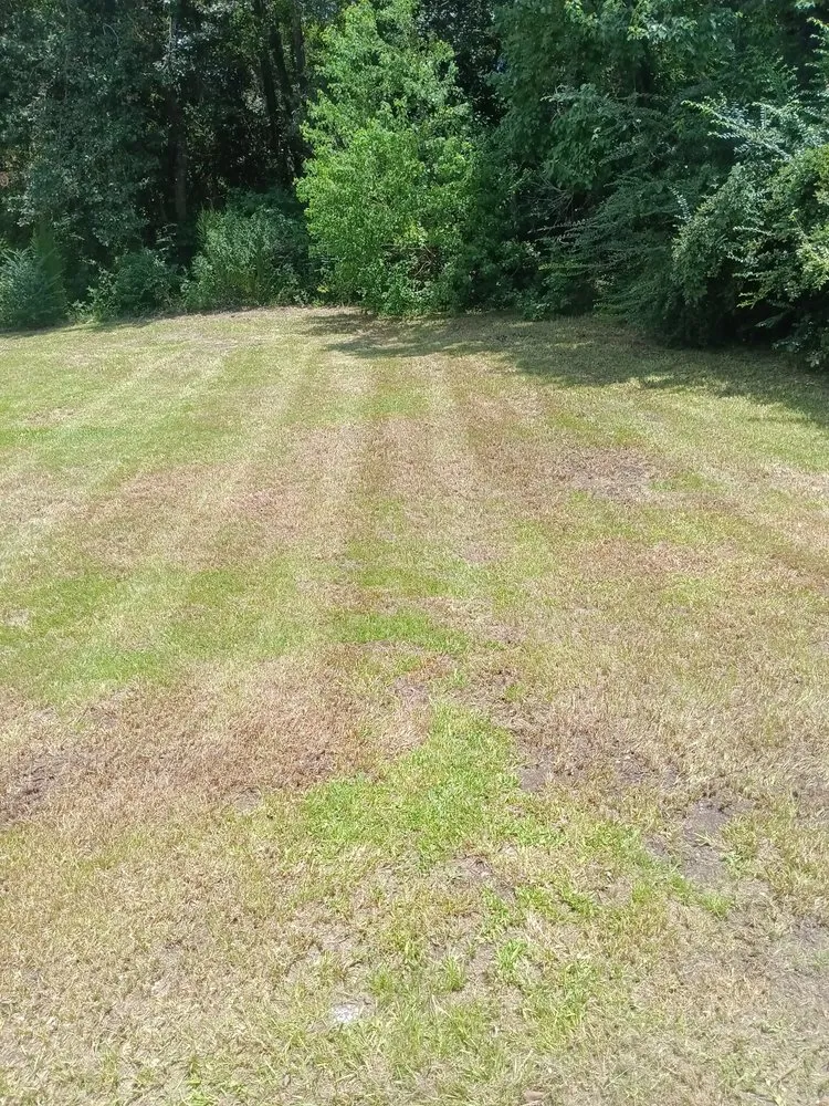 Professional yard maintenance for homes in Gulfport, MS by Davis Nice & Neat Lawn Service