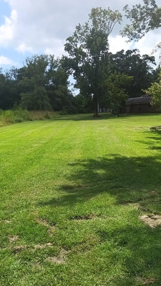 Trusted yard cleanup service for residential properties across Gulfport, MS - Davis Nice & Neat Lawn Service