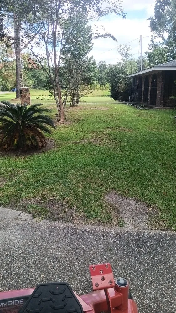 Expert landscaping services experts serving Gulfport, MS - Davis Nice & Neat Lawn Service