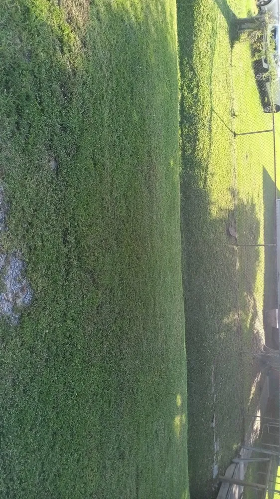 Local lawn care service for residential properties across Gulfport, MS - Davis Nice & Neat Lawn Service