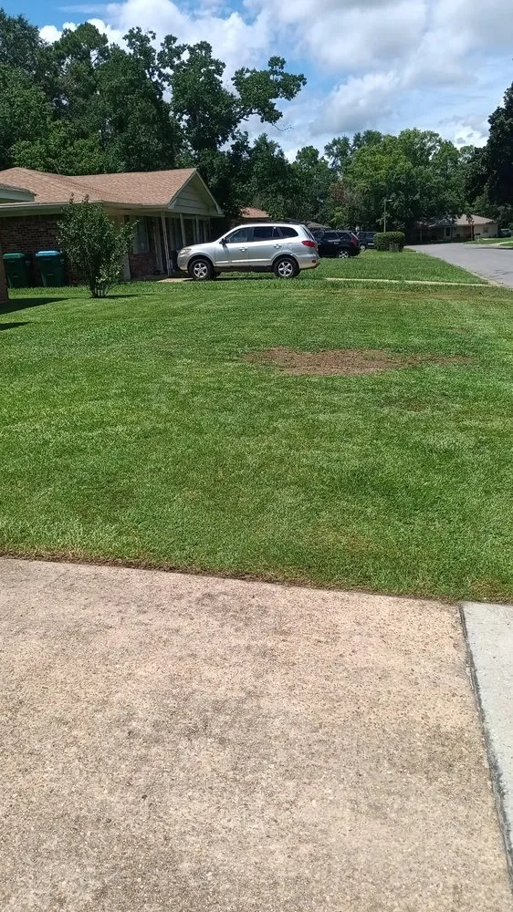 Trusted outdoor landscaping in Gulfport, MS by Davis Nice & Neat Lawn Service