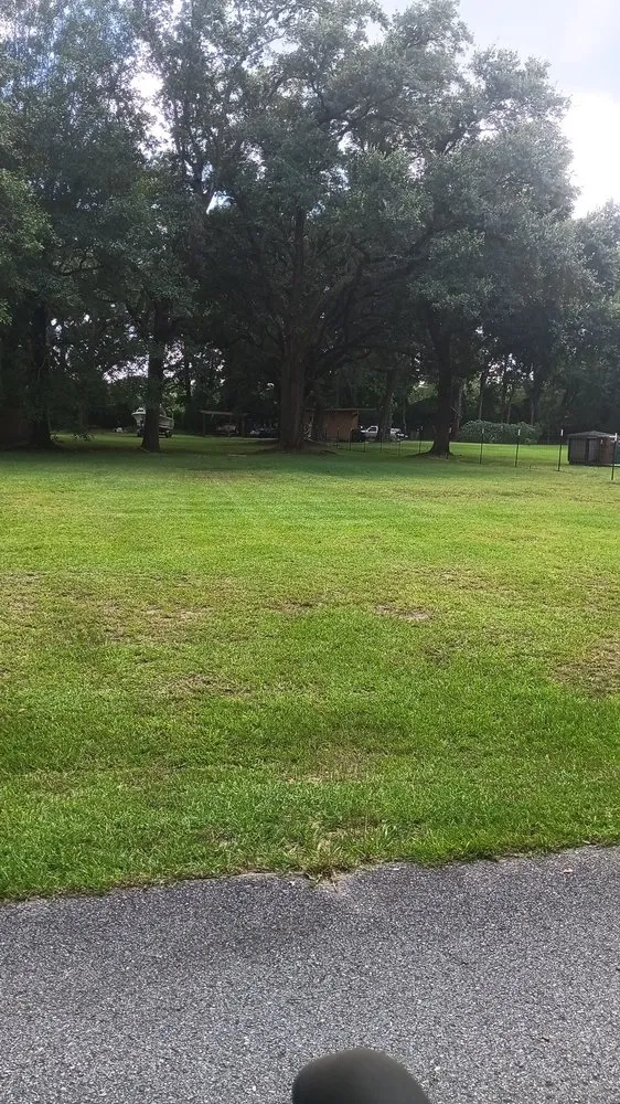 Trusted yard maintenance in Gulfport, MS - Davis Nice & Neat Lawn Service