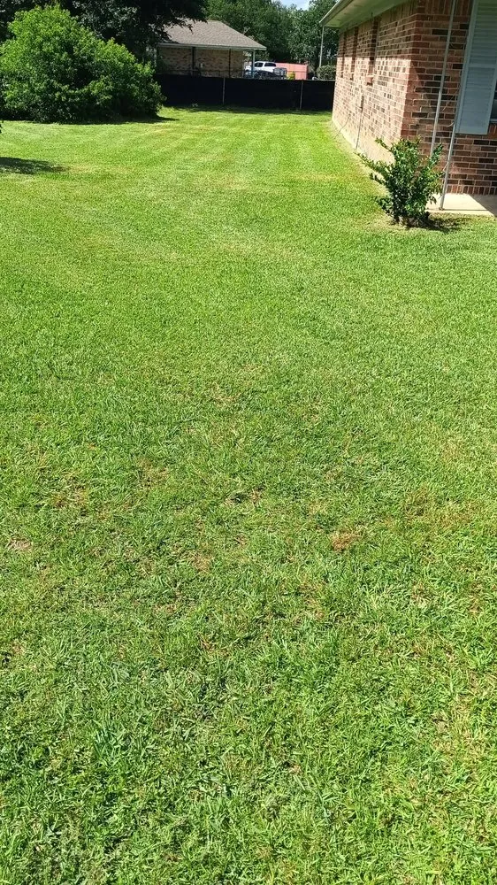 Professional lawn care service in Gulfport, MS - Davis Nice & Neat Lawn Service