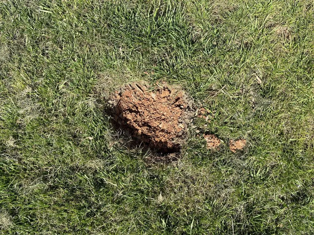 Custom residential landscaping in Rossville, GA - Davis Outdoor Creations