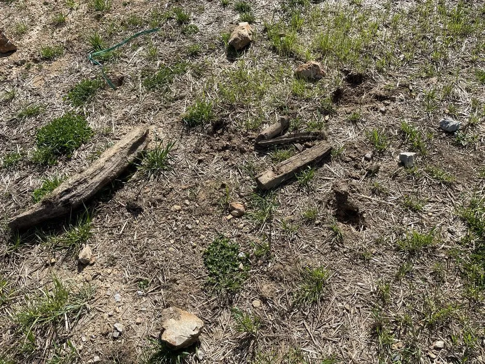 Expert landscape installation for homes across Rossville, GA - Davis Outdoor Creations