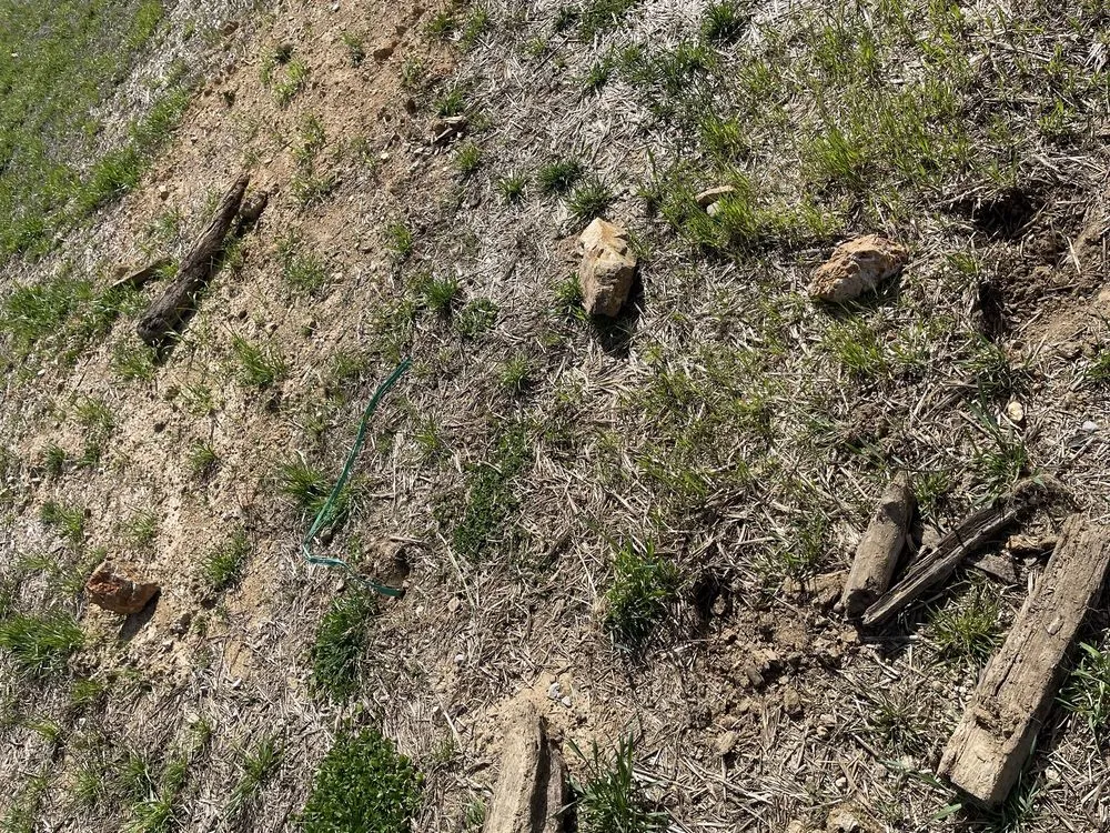 Reliable residential landscaping for outdoor upgrades across Rossville, GA - Davis Outdoor Creations