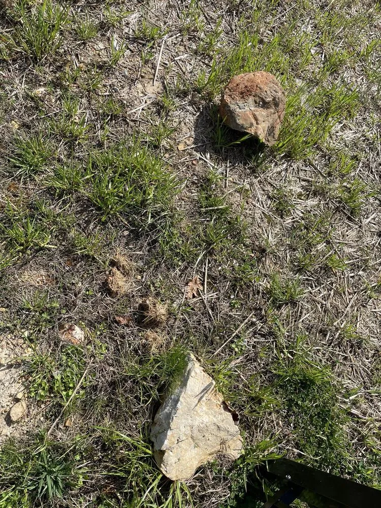 Professional yard cleanup service in Rossville, GA - Davis Outdoor Creations