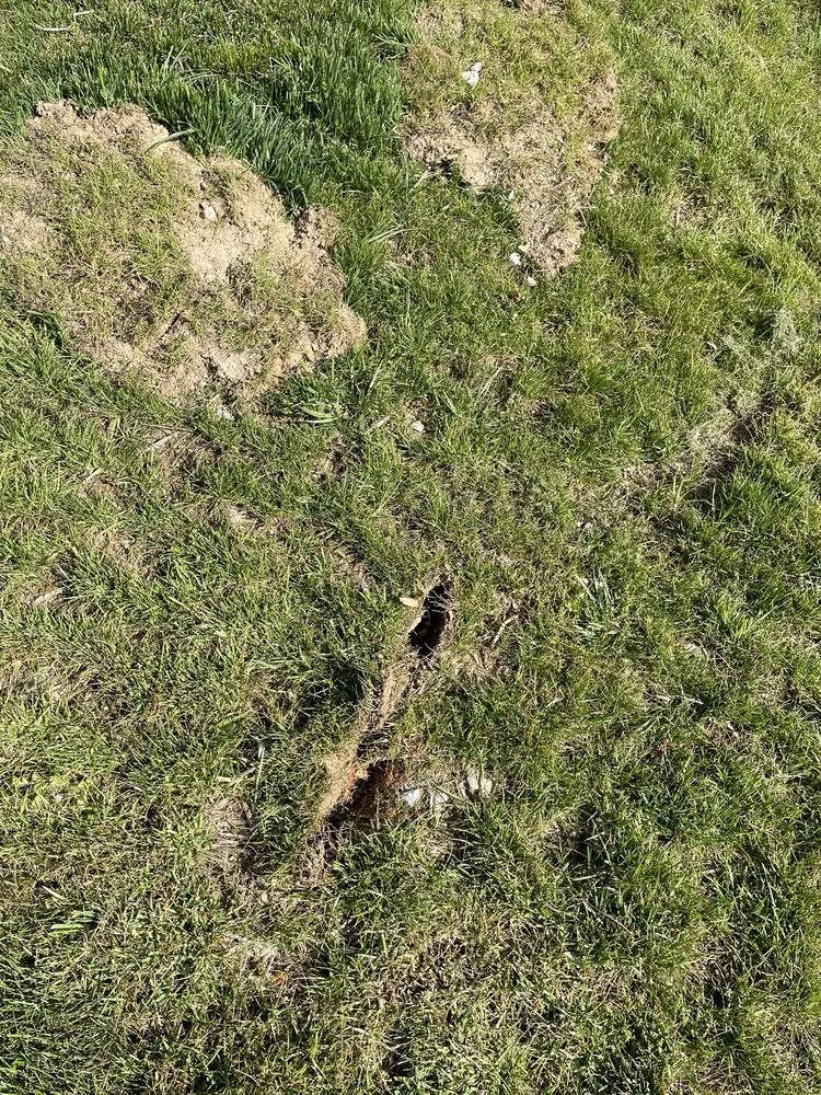 Local lawn care service in Rossville, GA - Davis Outdoor Creations