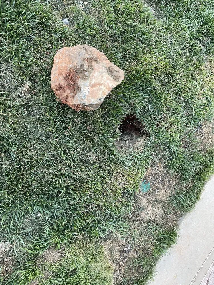 Custom landscaping services experts serving Rossville, GA - Davis Outdoor Creations