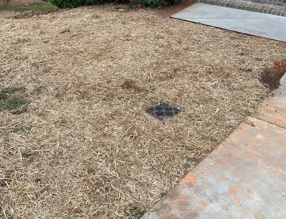 Expert outdoor landscaping in Clemmons, NC - Davis Outdoor Solutions