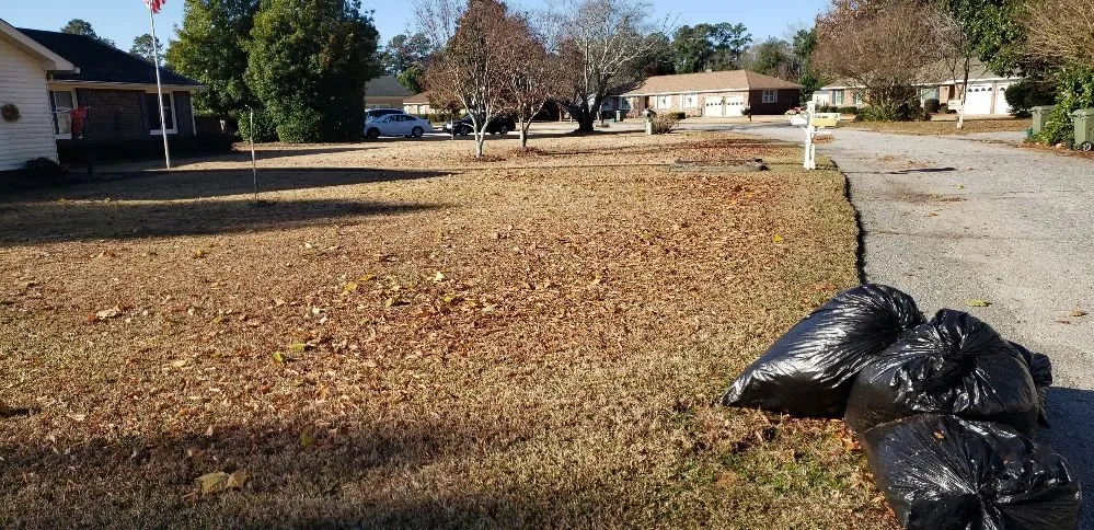 Local yard cleanup service for outdoor upgrades in Oswego, SC by Davis Perfection Lawn Care