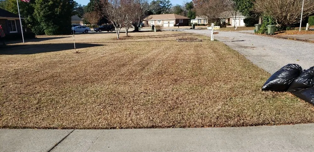 Custom landscaping services with custom design in Oswego, SC by Davis Perfection Lawn Care