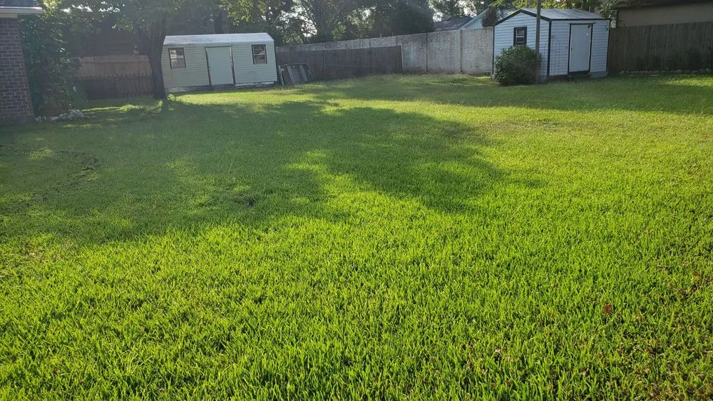 Reliable yard cleanup service experts serving Oswego, SC - Davis Perfection Lawn Care