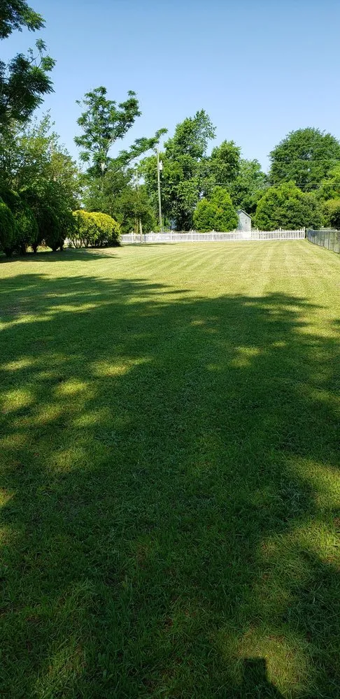 Custom lawn mowing service for beautiful yards in Oswego, SC by Davis Perfection Lawn Care