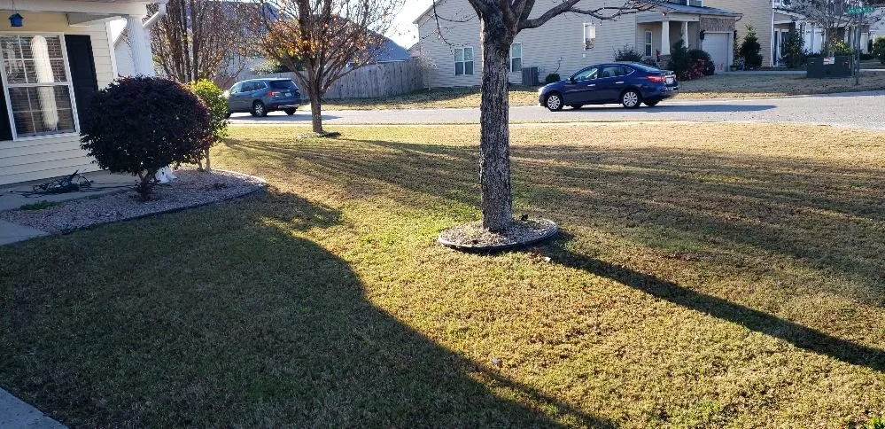 Local landscape design in Oswego, SC by Davis Perfection Lawn Care