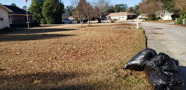 Davis Perfection Lawn Care Logo