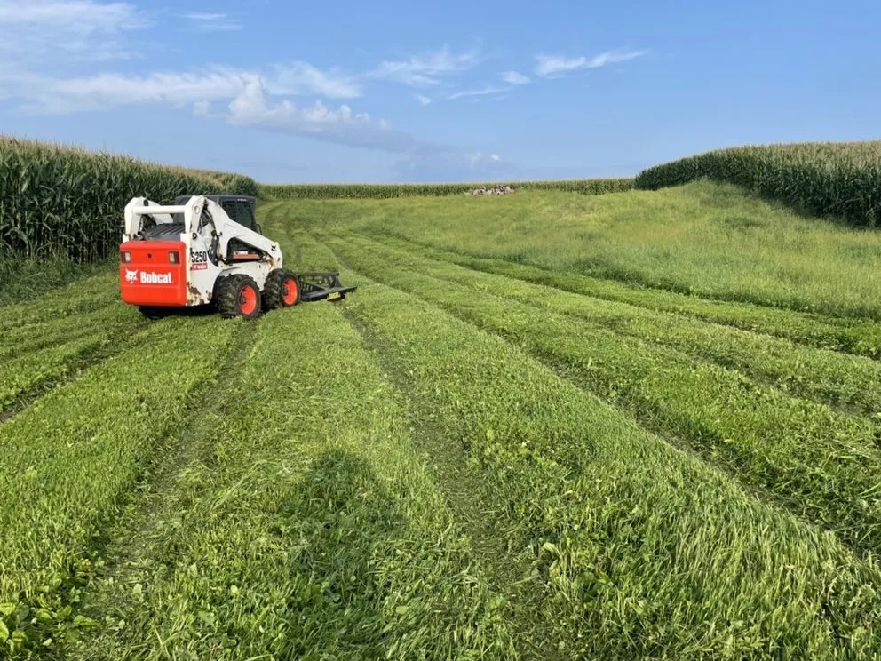 Trusted residential landscaping for residential properties across Bangor, WI - Davis Property Services