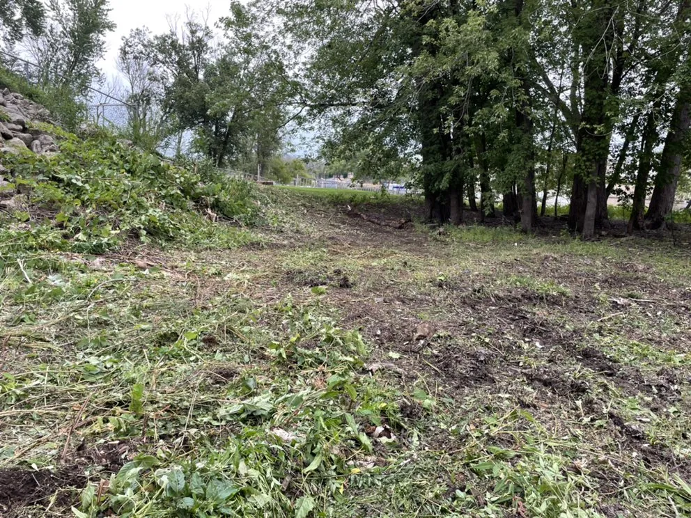 Top-rated landscape design in Bangor, WI - Davis Property Services