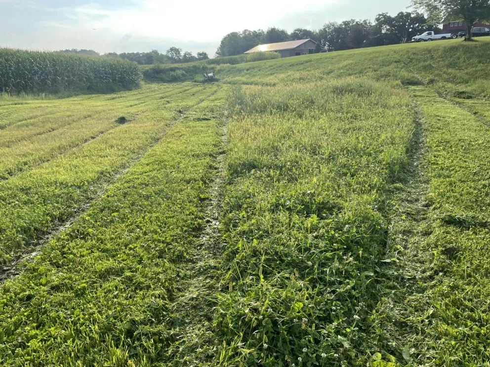 Professional yard cleanup service in Bangor, WI by Davis Property Services