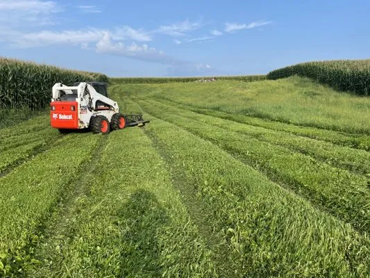 Davis Property Services