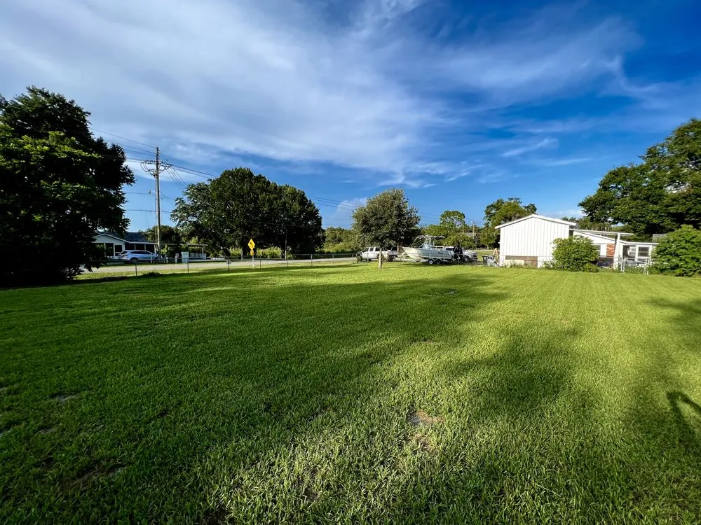 Top-rated residential landscaping in Lakeland, FL - Davis Proscaping