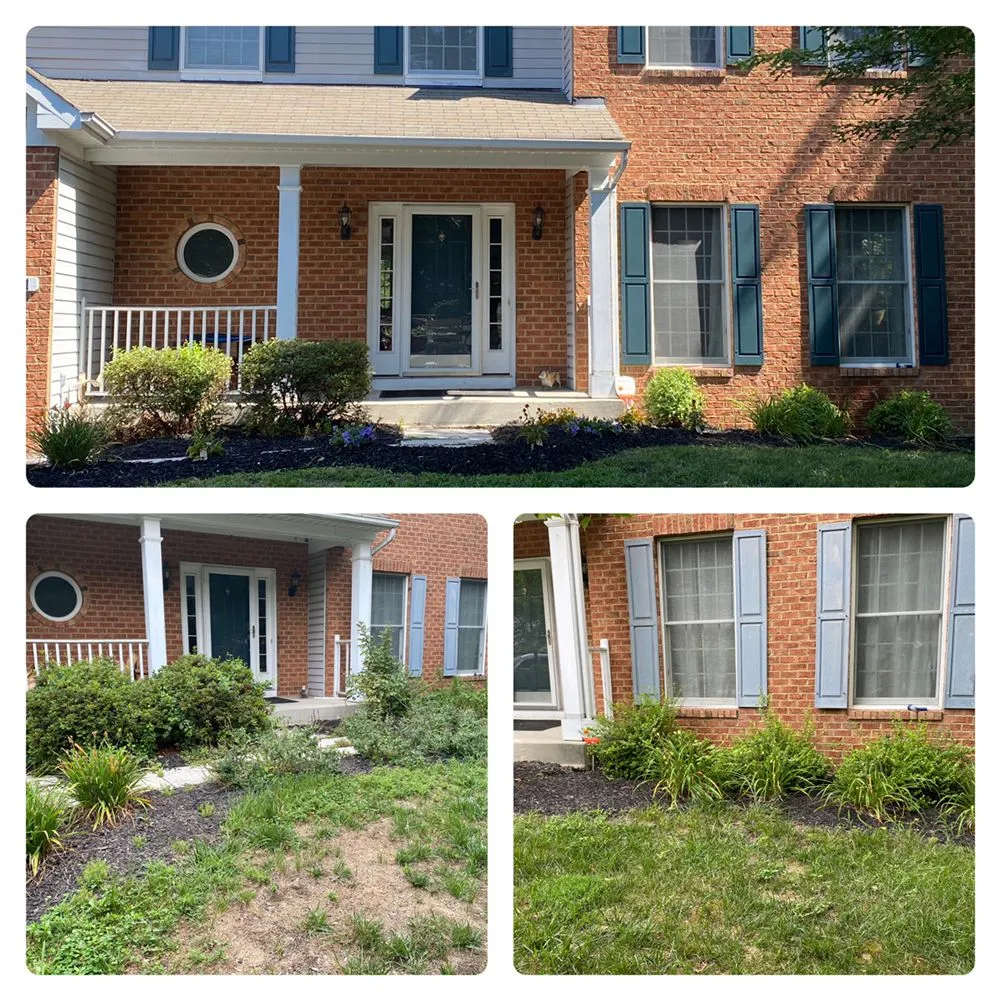 Local yard cleanup service for outdoor upgrades across Pasadena, MD - Davis Quinn Enterprises