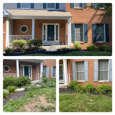 Davis Quinn Enterprises Logo