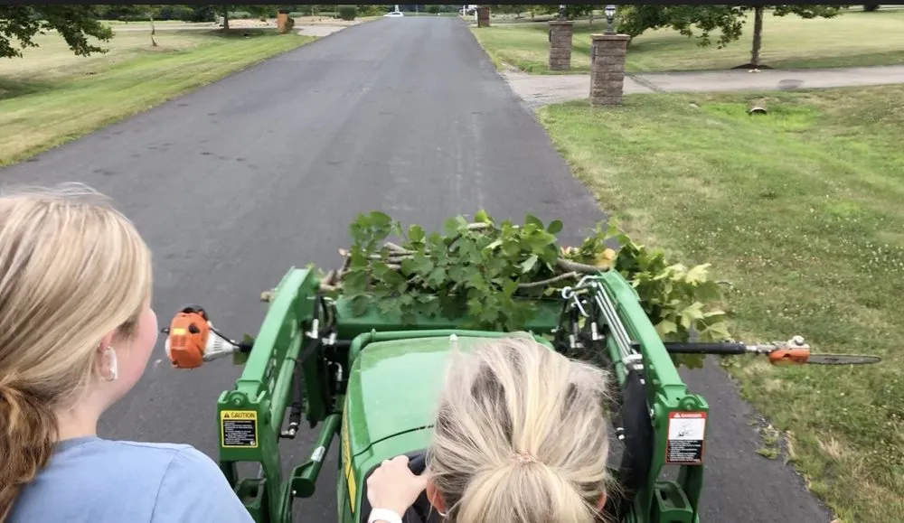 Affordable yard cleanup service in Elkton, MD - Davis Services