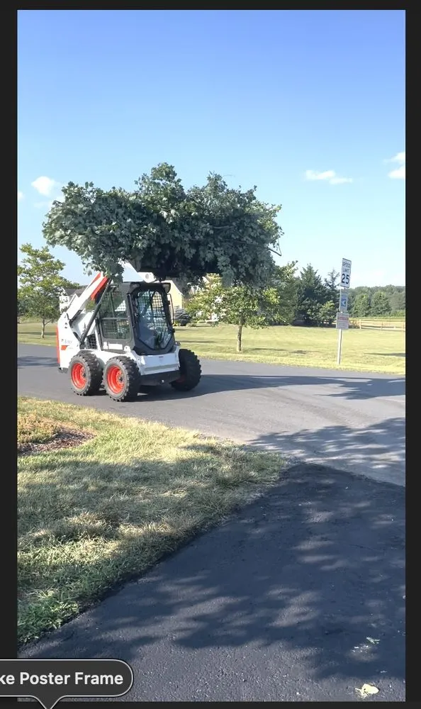 Local yard cleanup service with custom design across Elkton, MD - Davis Services