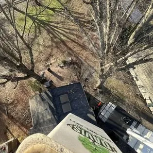 Expert yard cleanup service in Cedar Grove, NC by Davis Tree & Lawn Care