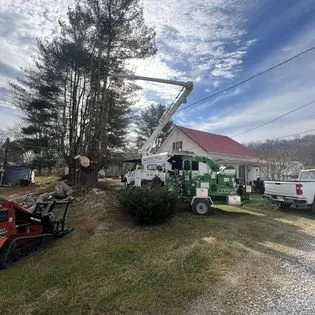 Expert landscaping services for beautiful yards across Cedar Grove, NC - Davis Tree & Lawn Care