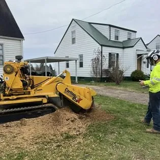 Local residential landscaping experts serving Cedar Grove, NC - Davis Tree & Lawn Care