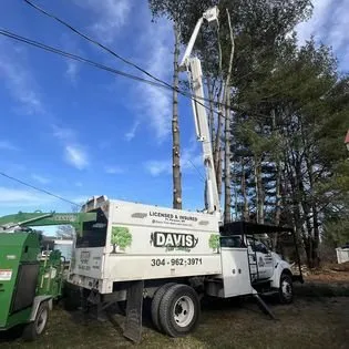 Expert landscape installation in Cedar Grove, NC - Davis Tree & Lawn Care