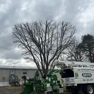 Expert garden landscaping in Cedar Grove, NC by Davis Tree & Lawn Care