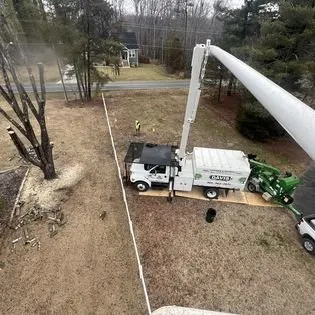 Reliable yard maintenance in Cedar Grove, NC - Davis Tree & Lawn Care