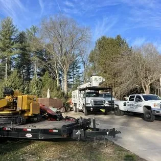 Expert yard maintenance in Cedar Grove, NC by Davis Tree & Lawn Care