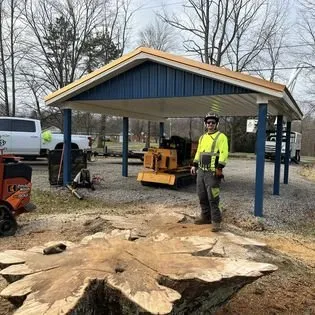 Local yard cleanup service near you across Cedar Grove, NC - Davis Tree & Lawn Care