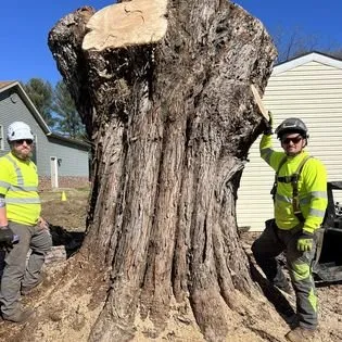 Expert landscape installation for homes across Cedar Grove, NC - Davis Tree & Lawn Care