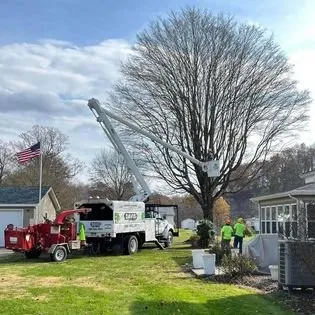 Custom landscaping services experts serving Cedar Grove, NC - Davis Tree & Lawn Care