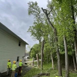 Local lawn care service for residential properties in Cedar Grove, NC by Davis Tree & Lawn Care