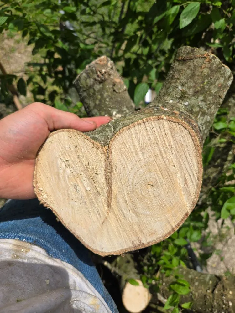 Expert landscape installation with custom design in San Leon, TX by Davis Tree Care And More