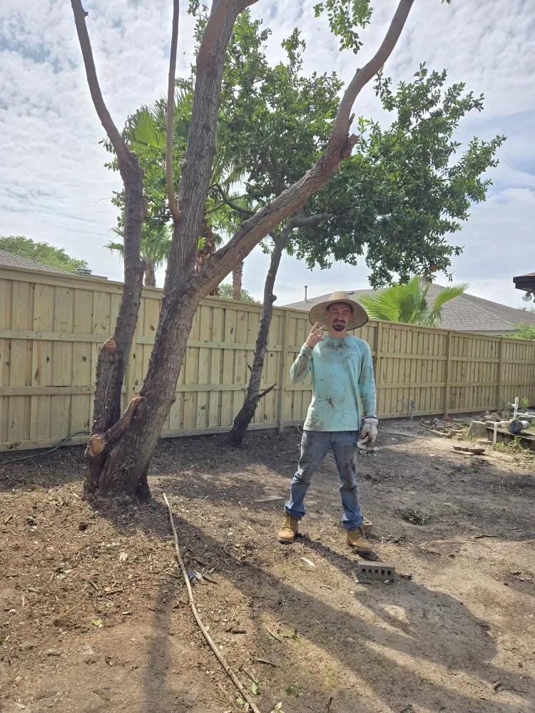 Custom yard cleanup service for outdoor upgrades in San Leon, TX by Davis Tree Care And More