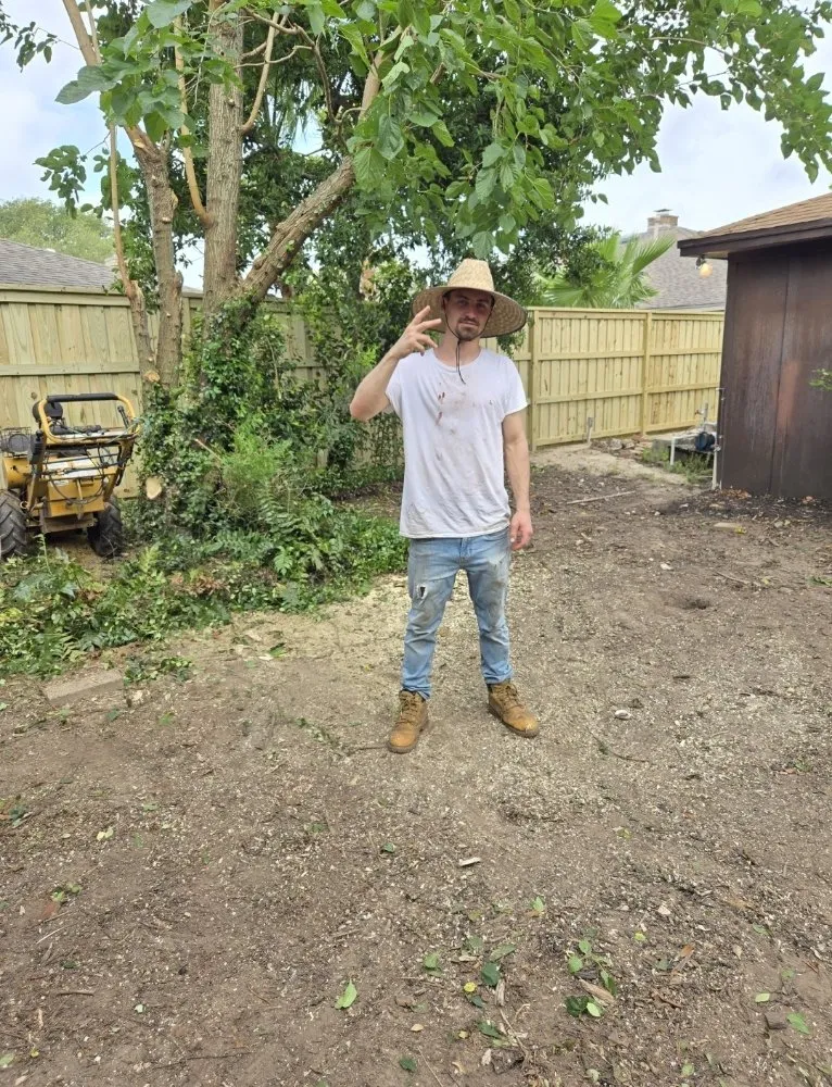 Affordable landscaping services for outdoor upgrades in San Leon, TX by Davis Tree Care And More