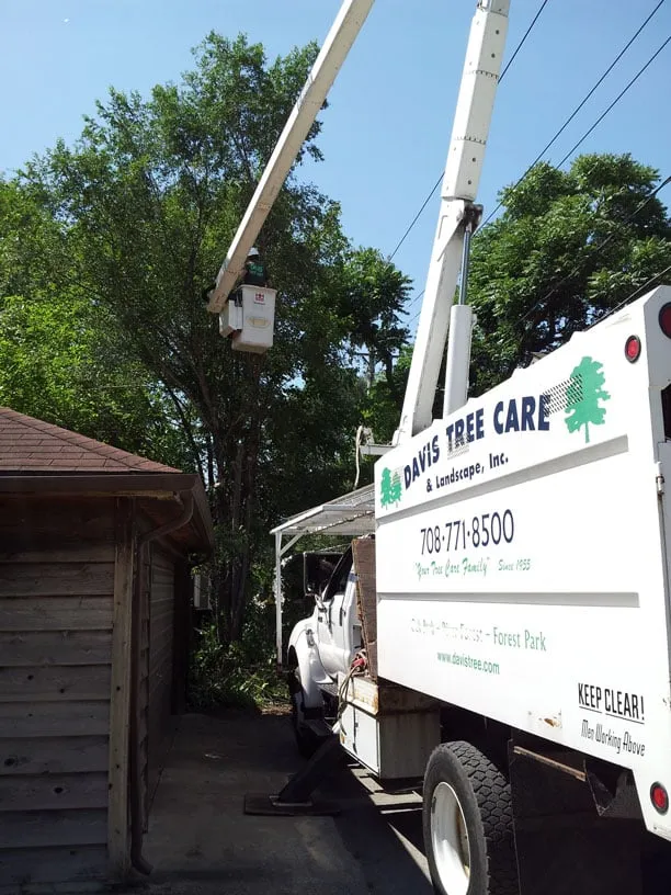 Top-rated landscape design experts serving Forest Park, IL - Davis Tree Care