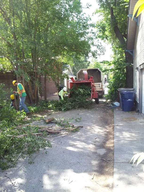 Expert residential landscaping for year-round maintenance across Forest Park, IL - Davis Tree Care